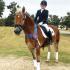 USDF Region 3 Championships